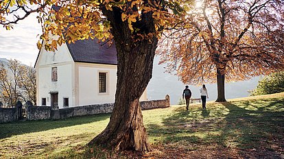 The most beautiful Törggele hikes for your autumn holiday in South Tyrol