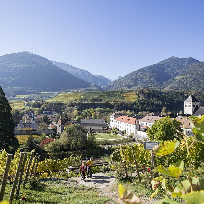 Die schönsten Törggelewanderungen für deinen Herbsturlaub in Südtirol