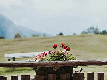 Grünes Urlaubsziel in Südtirol: Die Feriendörfer rund um Brixen