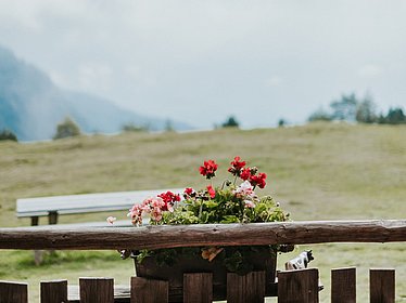 Località turistica sostenibile in Alto Adige: i paesi vacanze presso Bressanone