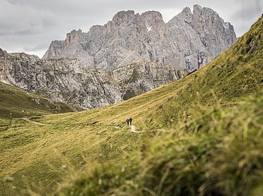 Mehrtägige Wanderungen in Brixen