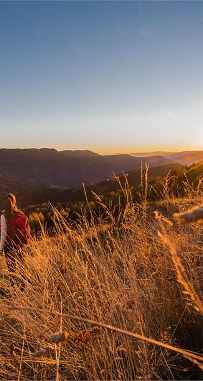 Ausflüge mit Wanderführern in Brixen: Sonnenuntergangswanderung auf der Plose